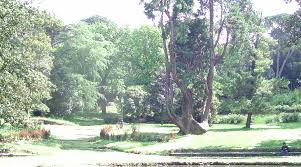 Il Bobolino - Giardino pubblico di Firenze